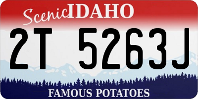 ID license plate 2T5263J