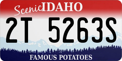 ID license plate 2T5263S