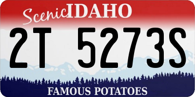 ID license plate 2T5273S