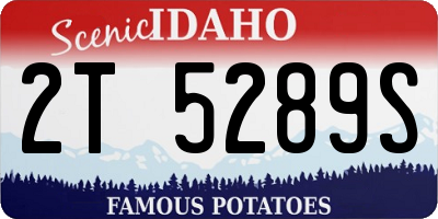 ID license plate 2T5289S