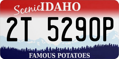 ID license plate 2T5290P