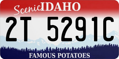 ID license plate 2T5291C