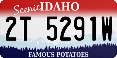 ID license plate 2T5291W