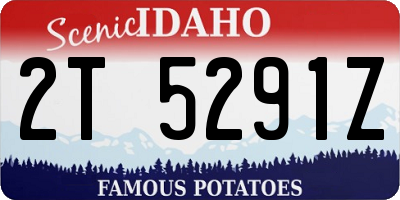 ID license plate 2T5291Z