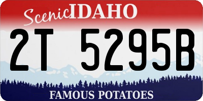 ID license plate 2T5295B