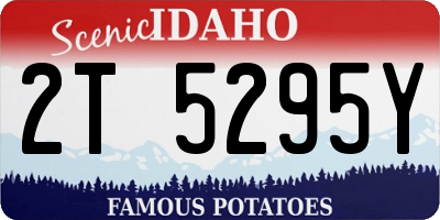 ID license plate 2T5295Y