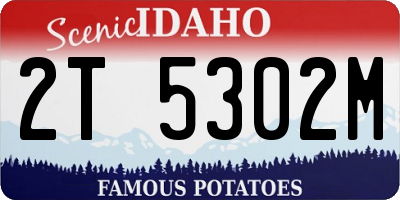 ID license plate 2T5302M