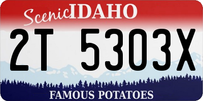 ID license plate 2T5303X