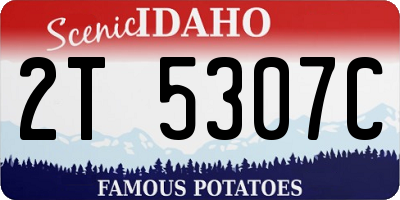 ID license plate 2T5307C