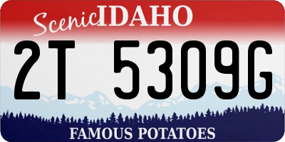 ID license plate 2T5309G