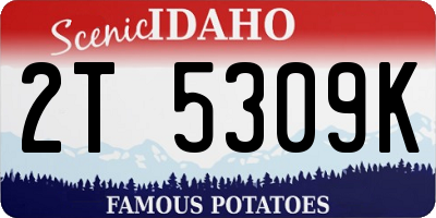ID license plate 2T5309K