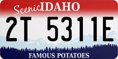ID license plate 2T5311E