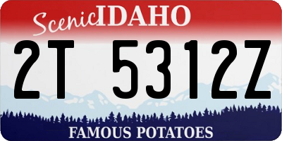 ID license plate 2T5312Z