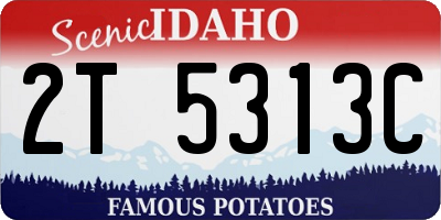 ID license plate 2T5313C