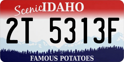 ID license plate 2T5313F