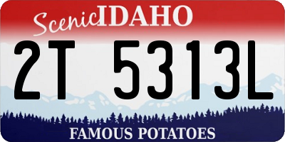 ID license plate 2T5313L