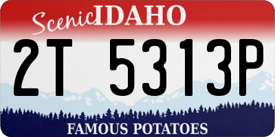 ID license plate 2T5313P