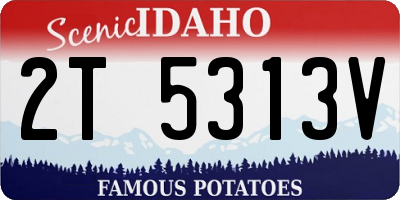 ID license plate 2T5313V