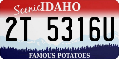 ID license plate 2T5316U