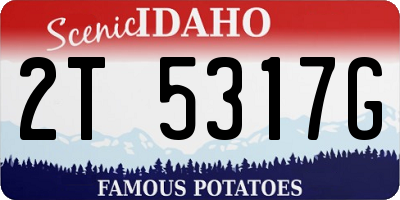 ID license plate 2T5317G