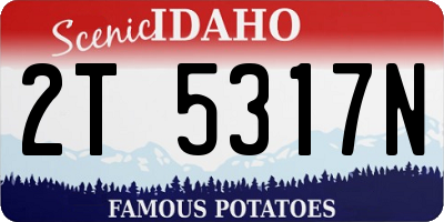 ID license plate 2T5317N