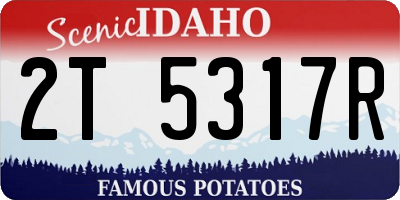 ID license plate 2T5317R