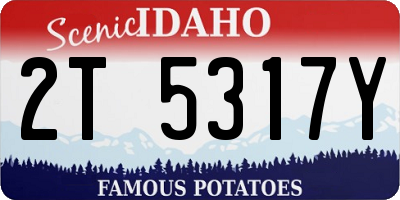 ID license plate 2T5317Y