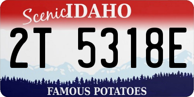 ID license plate 2T5318E