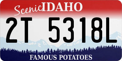 ID license plate 2T5318L