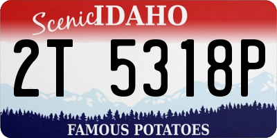 ID license plate 2T5318P