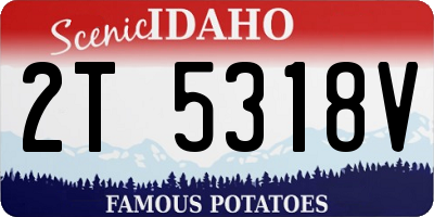 ID license plate 2T5318V