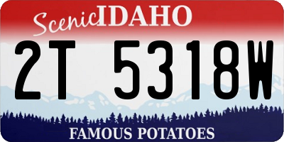 ID license plate 2T5318W