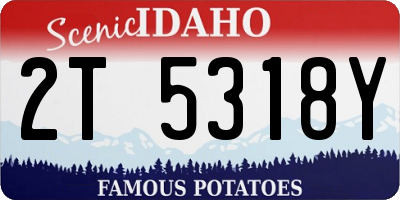 ID license plate 2T5318Y