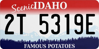 ID license plate 2T5319E