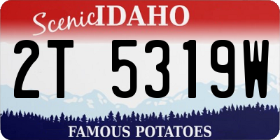 ID license plate 2T5319W