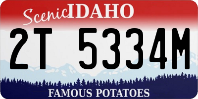 ID license plate 2T5334M