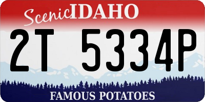 ID license plate 2T5334P