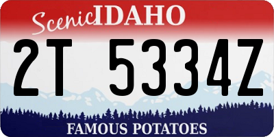 ID license plate 2T5334Z