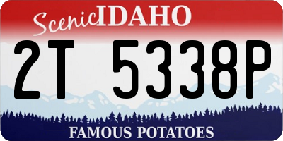 ID license plate 2T5338P