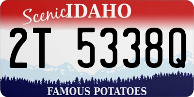 ID license plate 2T5338Q