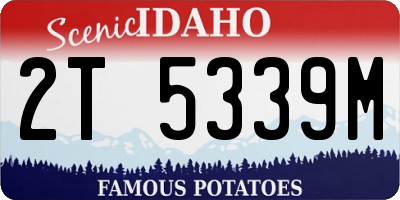 ID license plate 2T5339M