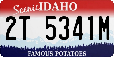 ID license plate 2T5341M
