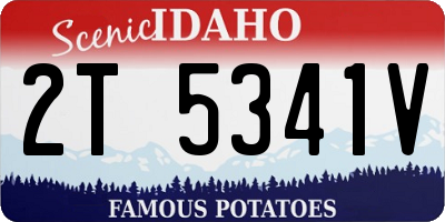 ID license plate 2T5341V