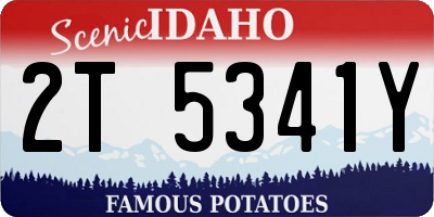 ID license plate 2T5341Y