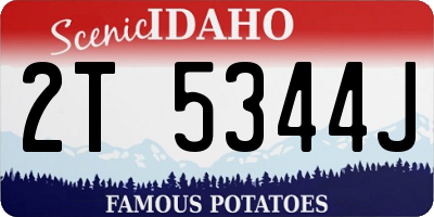 ID license plate 2T5344J