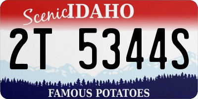 ID license plate 2T5344S