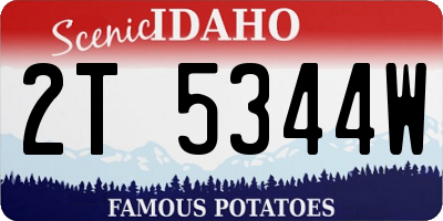 ID license plate 2T5344W
