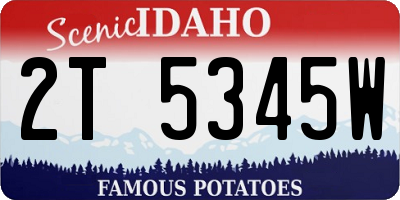 ID license plate 2T5345W
