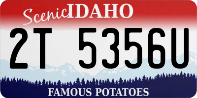 ID license plate 2T5356U
