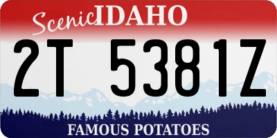 ID license plate 2T5381Z
